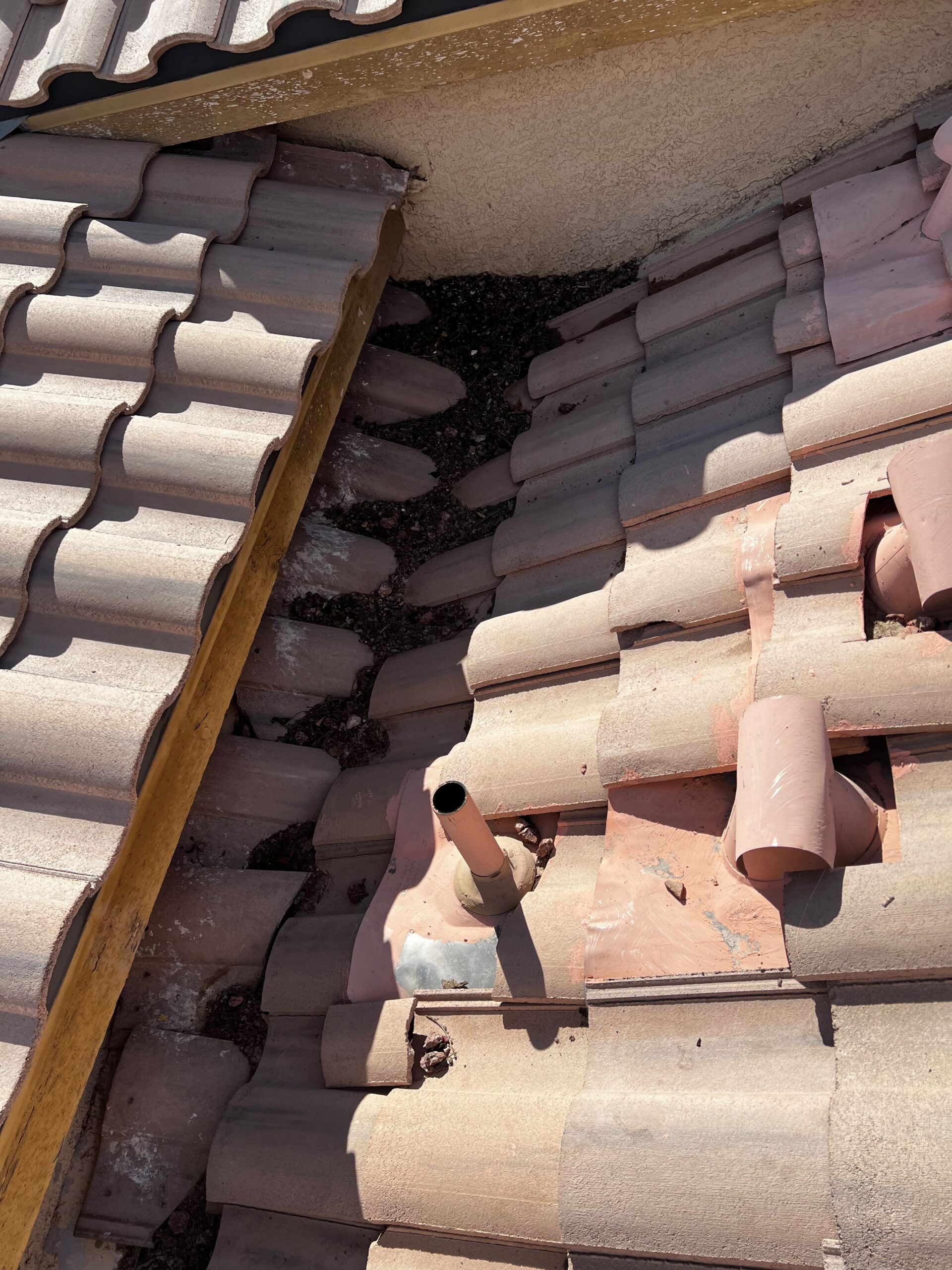 Debris collected between tile roof sections beside a stucco wall on Jalisco Avenue