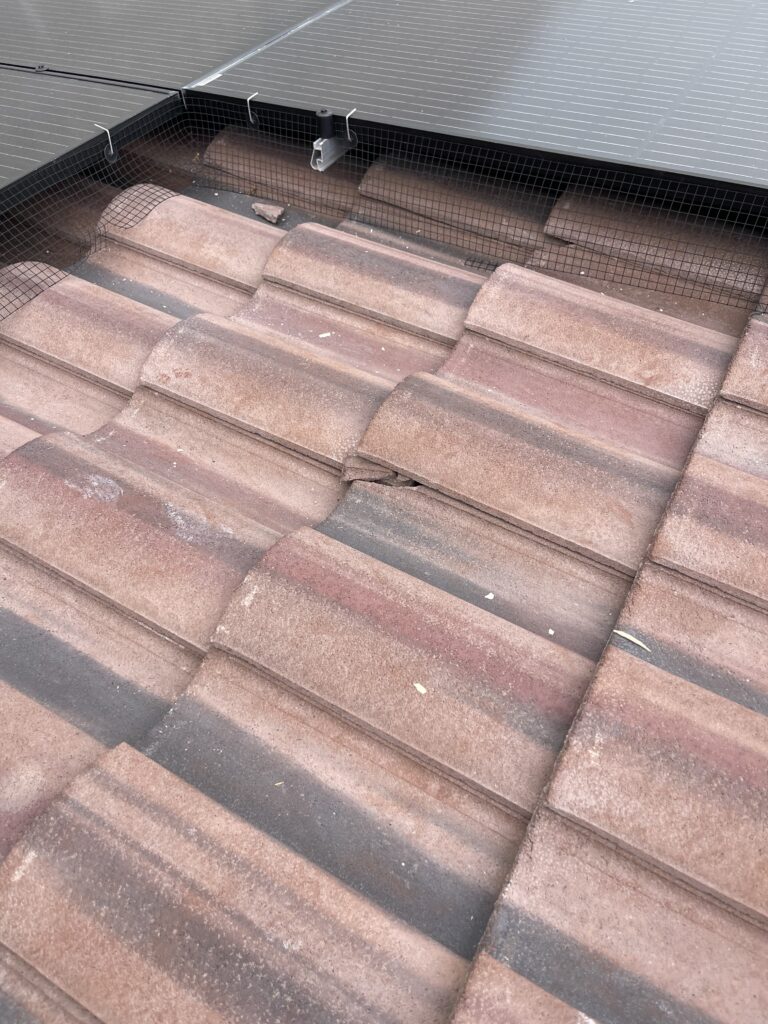 Damaged reddish roof tile below solar panels with mesh along the panel edge